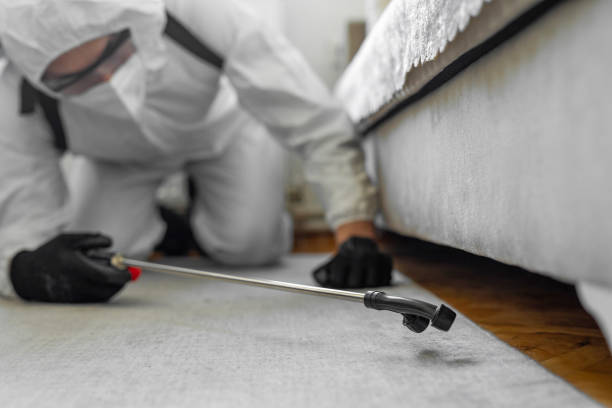 Professional Cockroach Control technician working in Darlington, WI